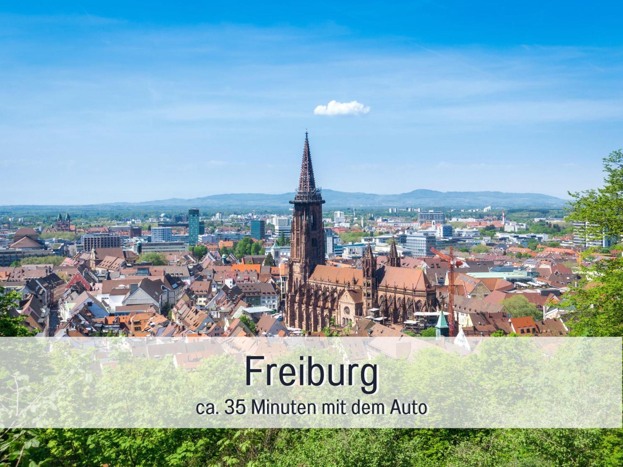 Herzgruen Direkt An Traumhaften Wanderwegen Balkon Mit Toller Aussicht Sauna Im Haus Tiefgarage E-Ladestation Todtnauberg Exterior foto